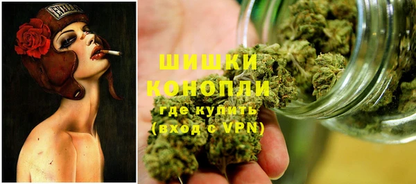 гашик Волосово