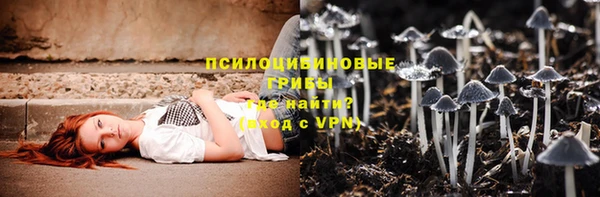 трава Верея