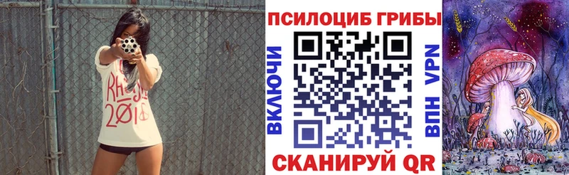 Купить  Далматово  Галлюциногенные грибы Psilocybine cubensis 